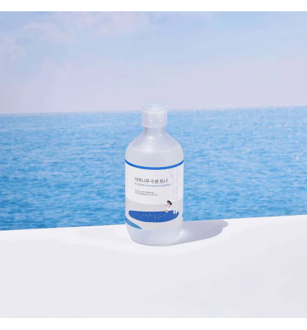 Hydrating Toner with Birch Juice Round Lab Birch Juice Moisturizing Toner (300 ml)